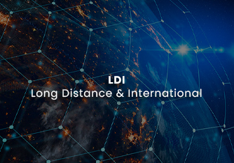 Long Distance & International (LDI)
